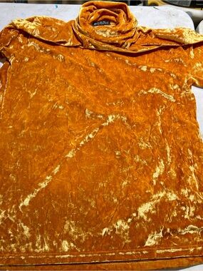 Pronti XL Crushed Velvet Turtleneck Top